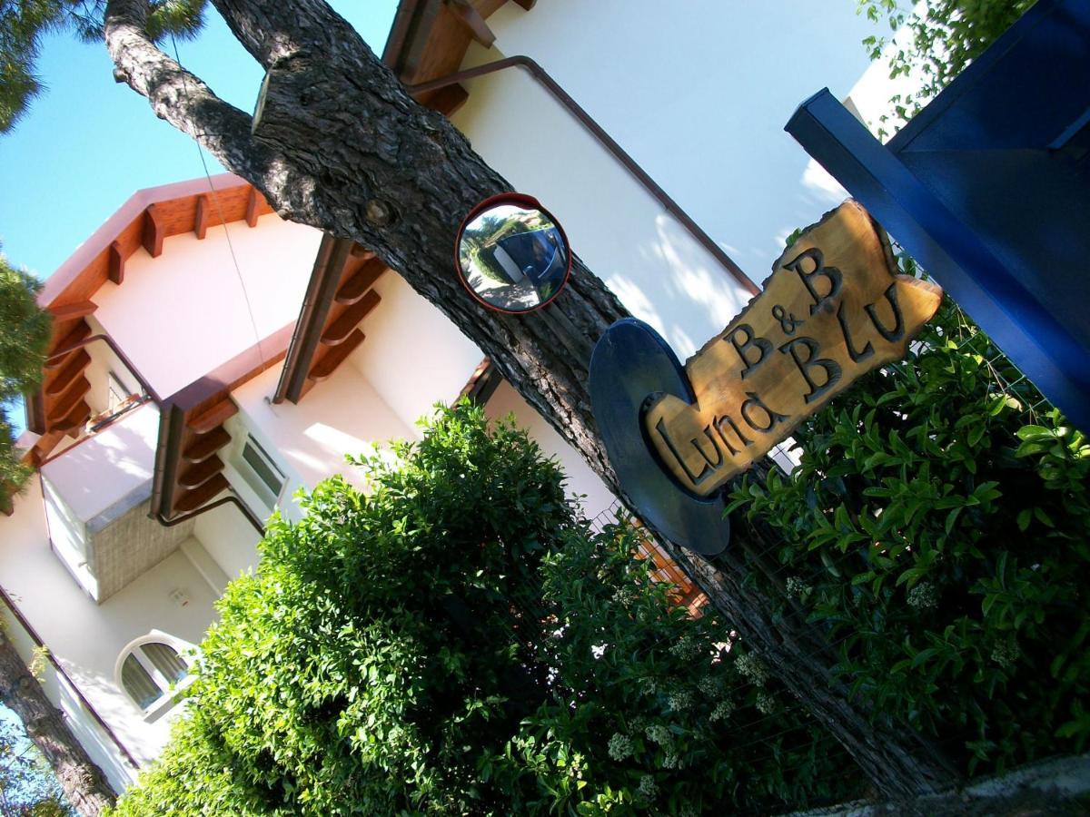 B&B Luna Blu Монтесильвано Экстерьер фото