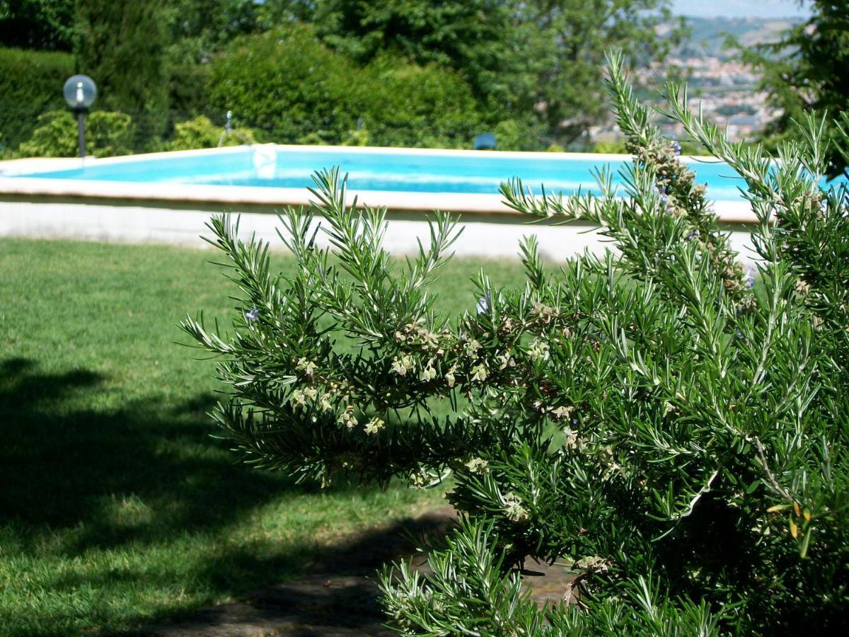 B&B Luna Blu Монтесильвано Экстерьер фото